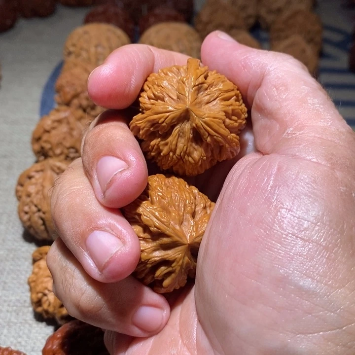 常***）文玩核桃把件核桃