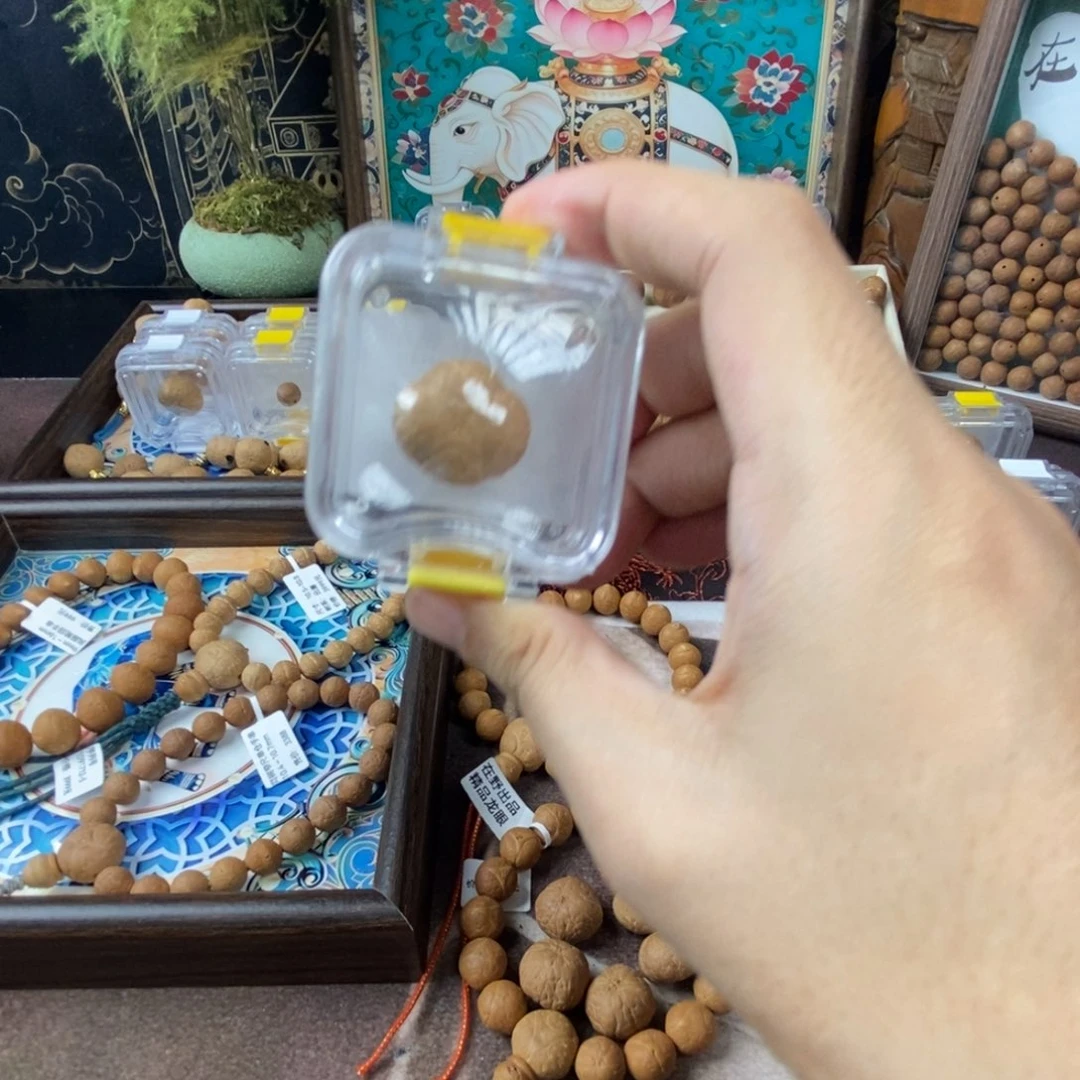 用***6吊坠凤眼菩提21.3肌肉麒麟单颗