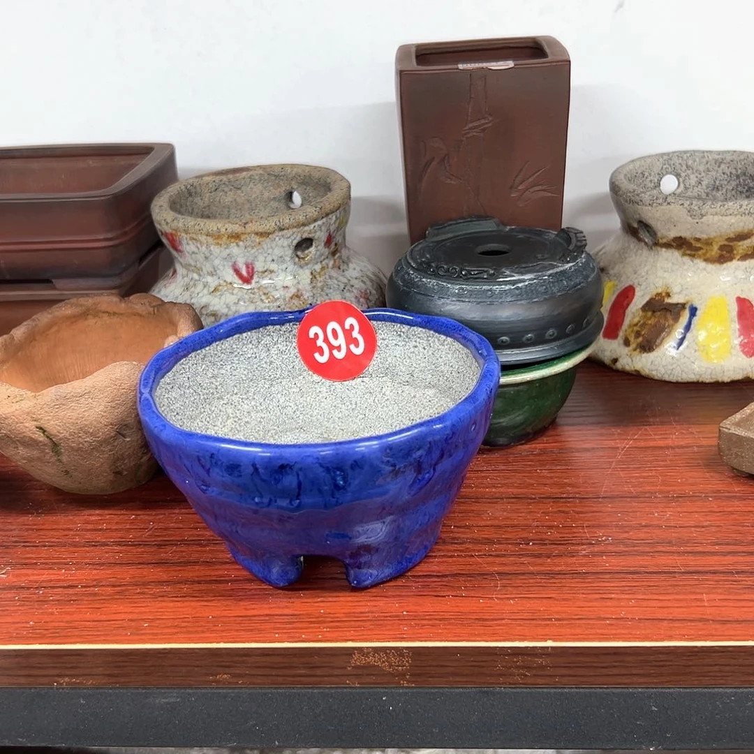 互****龙对你的喜欢就如同这日子只增不减393