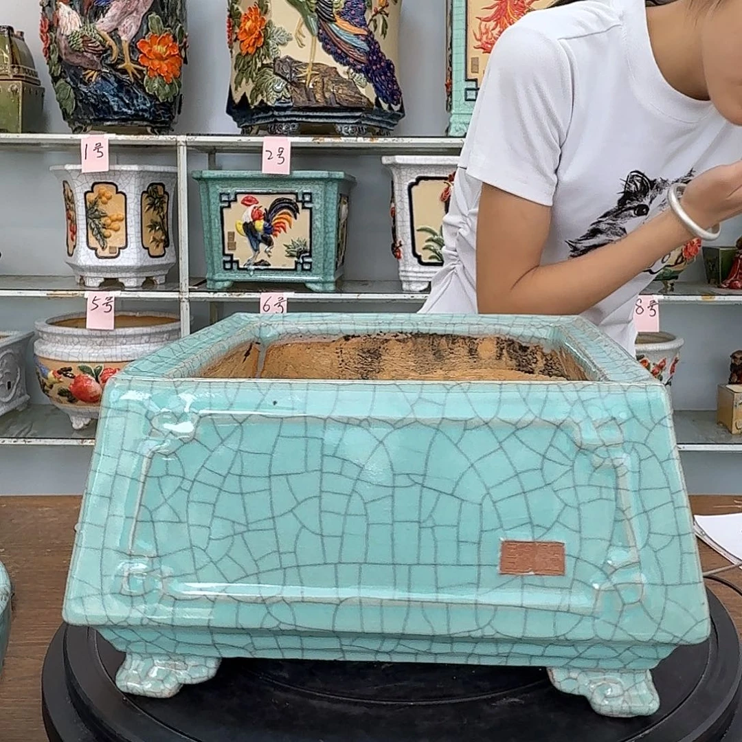 小*（这种情况我真的是太想看他