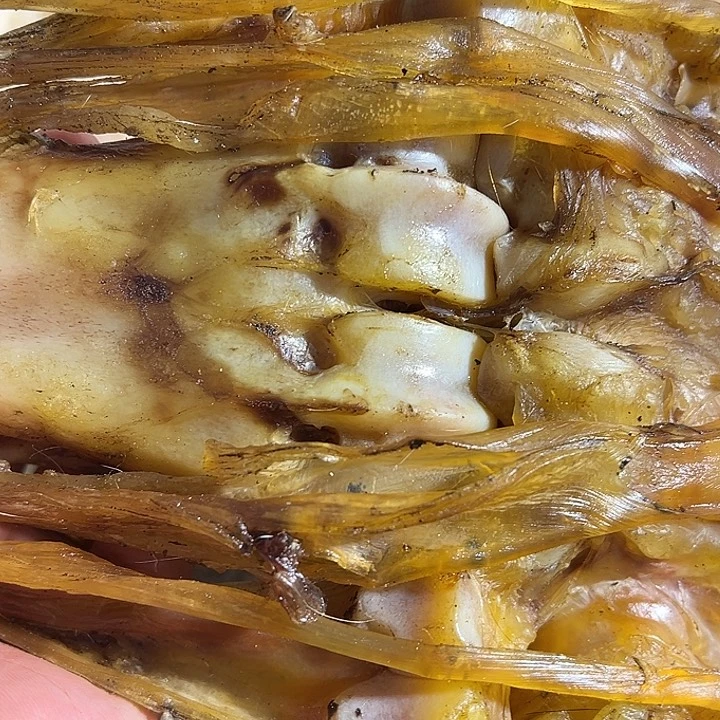钦***吉ZXhu整个带筋一半大