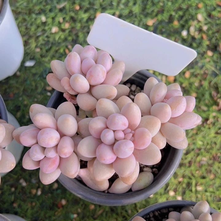 健健康康平平安安