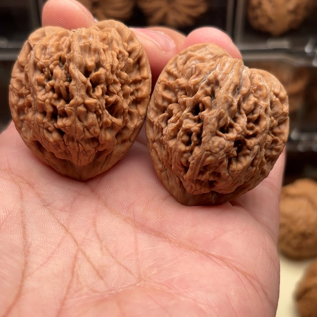 文玩核桃把件蚂蚁王