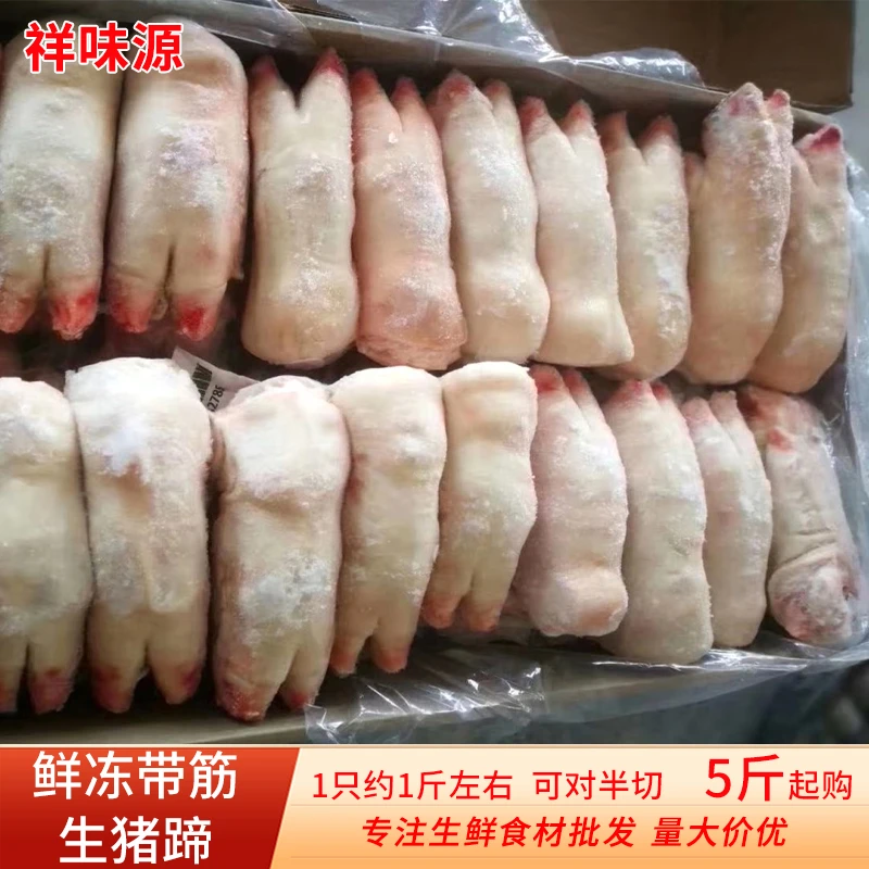新鲜短猪蹄鲜冻真空包装烧烤食材猪脚块卤煮下酒菜商用批发