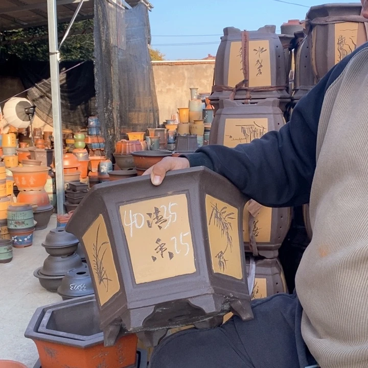 紫砂花盆盆栽花卉苗木种植