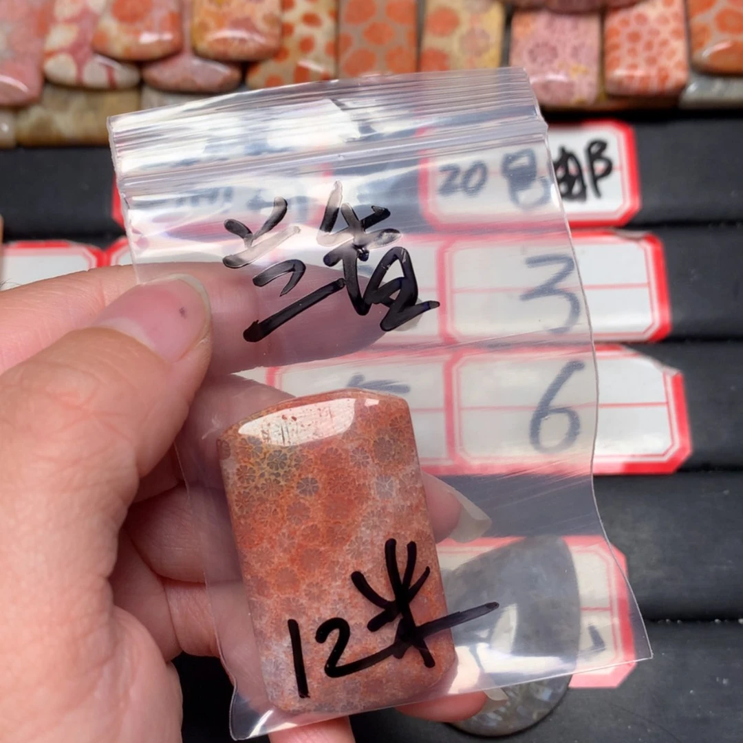 【闪购商品】未镶嵌颈饰硅化玉兰**静