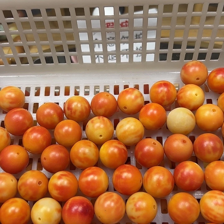 菩提根/象牙果吊坠