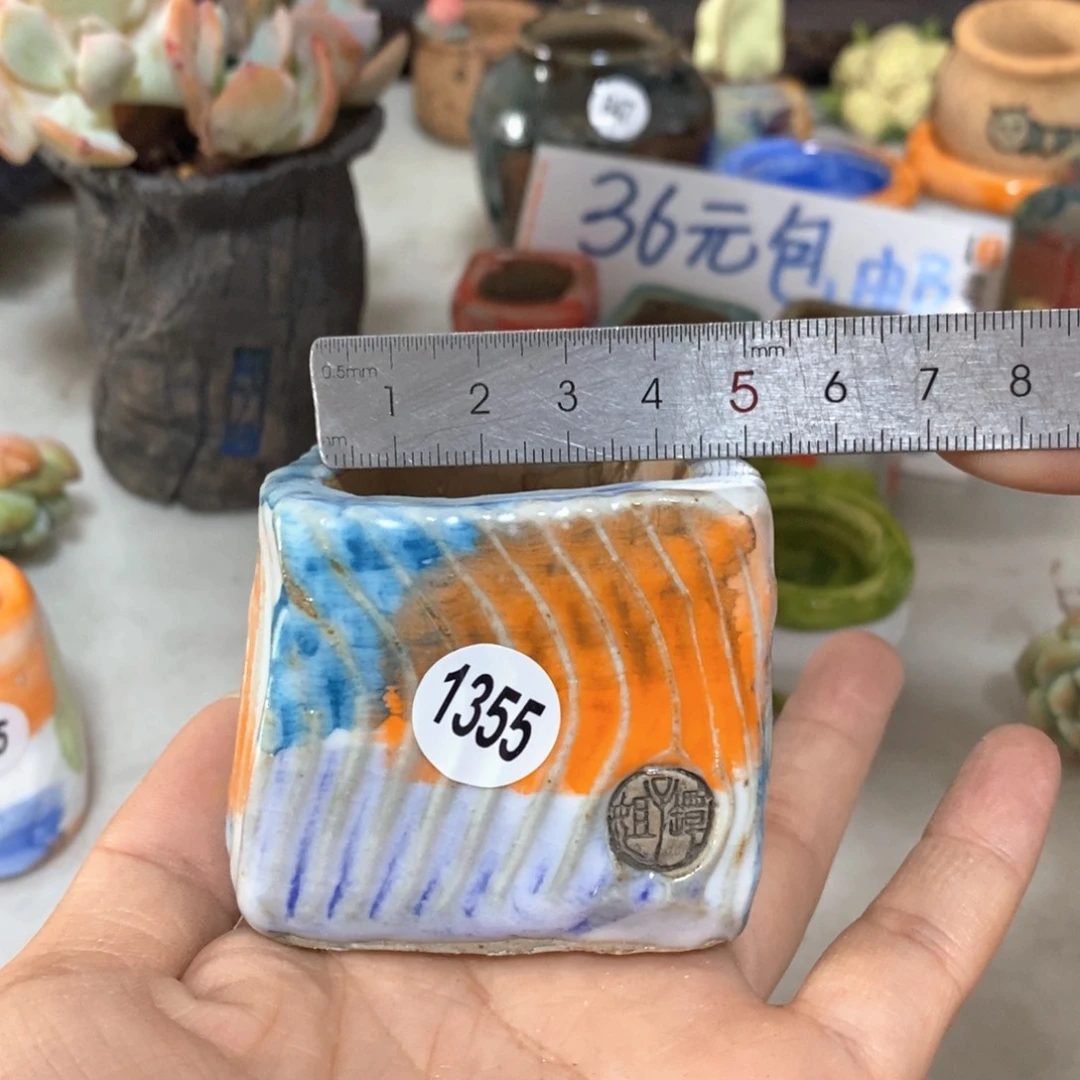 拍5送一个小礼物