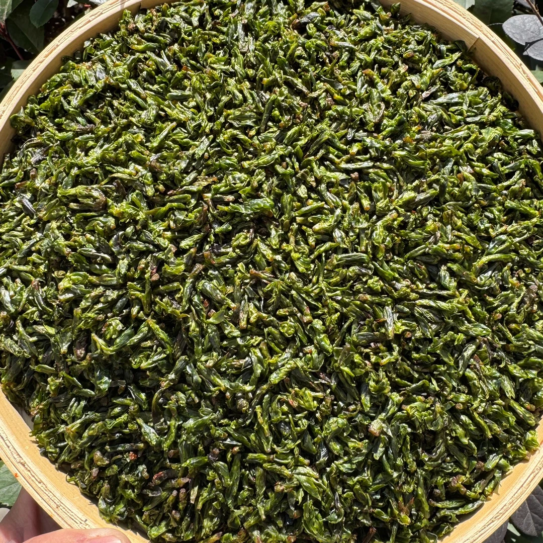 【小勇甄选】小叶苦丁