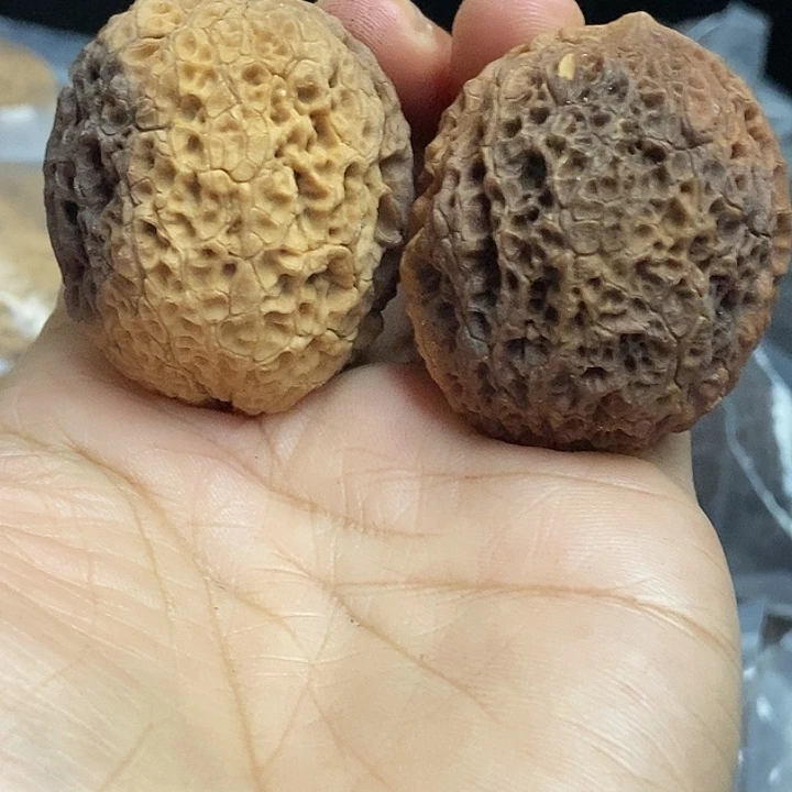 把件文玩核桃云南铁核桃基地70