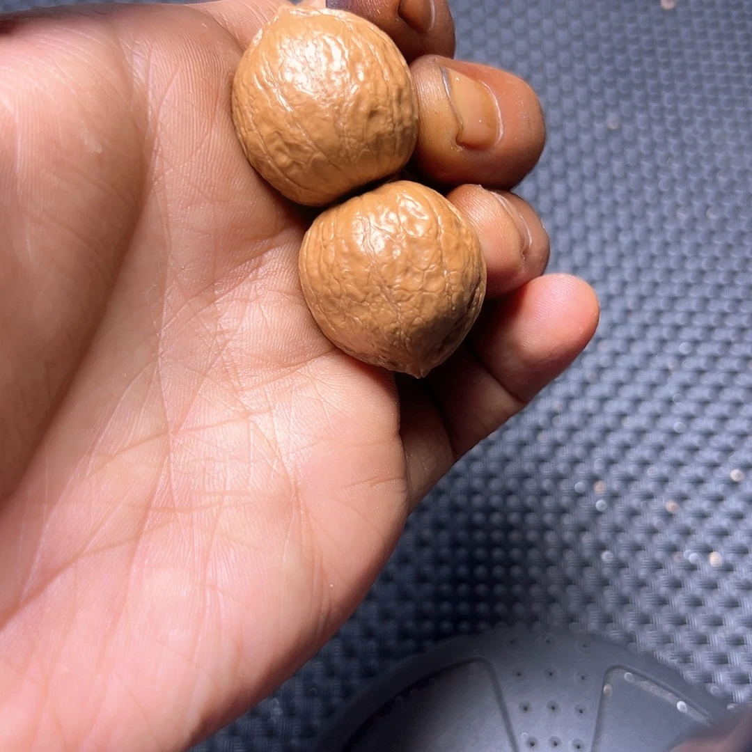 文玩核桃吊坠舍利