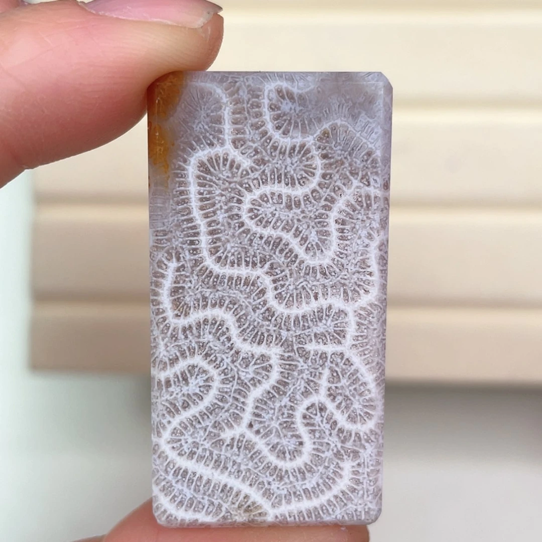 【闪购商品】未镶嵌吊坠(赠链)硅化玉