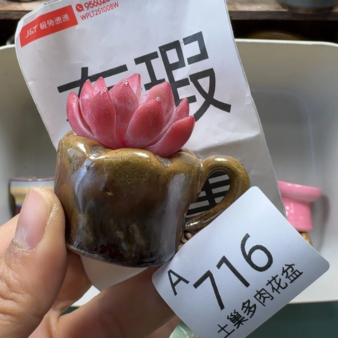 陶瓷艺术品设计与制作