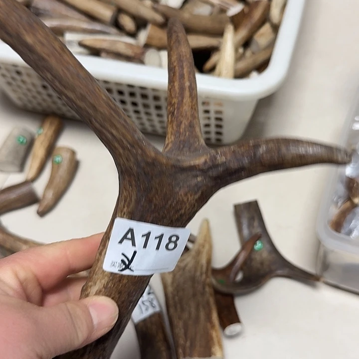 香榧木鹿角工艺品原料