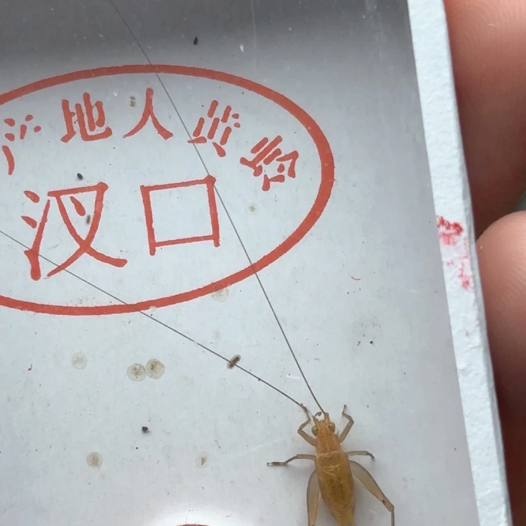 据哈哈哈哈哈哈哈哈哈