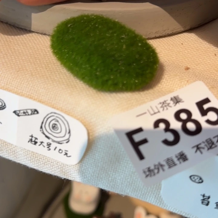 Z****陶瓷陶瓷陶瓷陶瓷陶瓷陶瓷