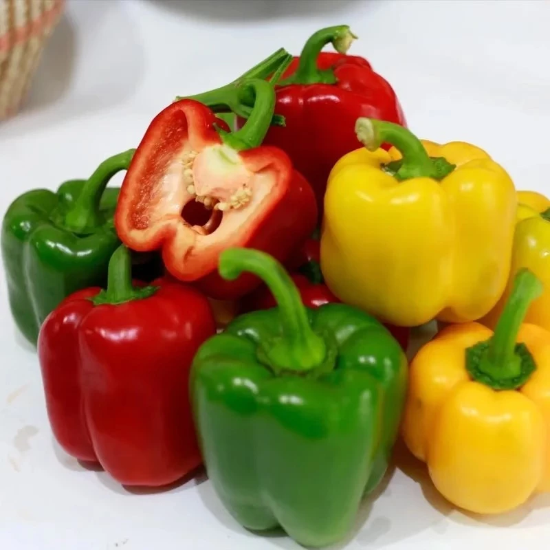 山东彩椒新鲜生吃水果彩椒五彩灯笼椒甜椒七彩辣椒寿光特色蔬菜
