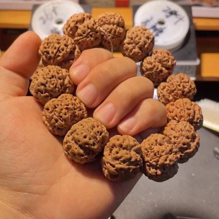 你****手串金刚菩提这个