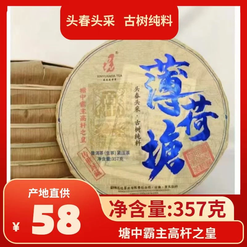 普洱茶薄荷塘生普