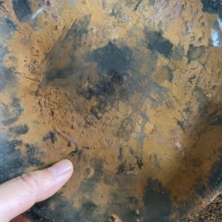 未***圣瓷器瓷器瓷器瓷器比赛时