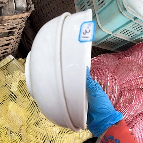 瓷片国营厂库存微瑕18厘米31