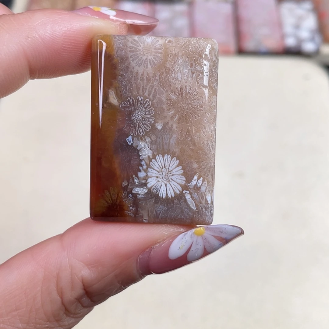 【闪购商品】未镶嵌吊坠(赠链)硅化玉野****数
