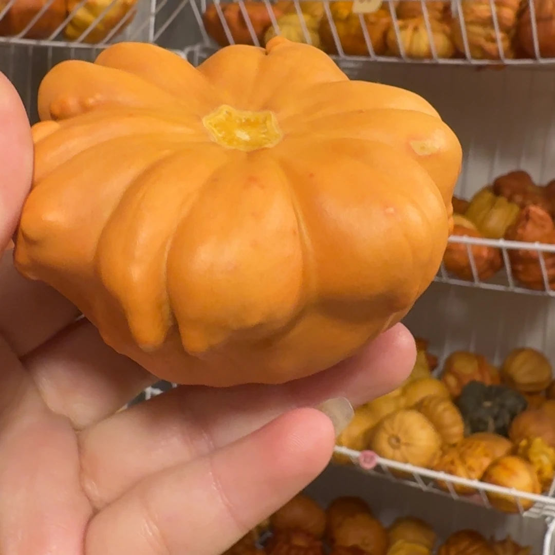 墨西哥葫芦墨西哥葫芦