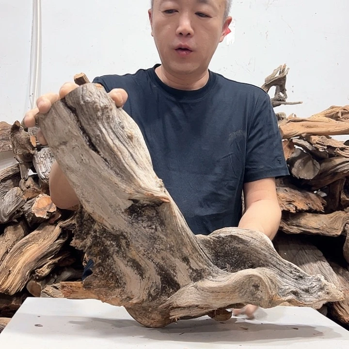 柏木创*我们的生活也是如此吧哈哈