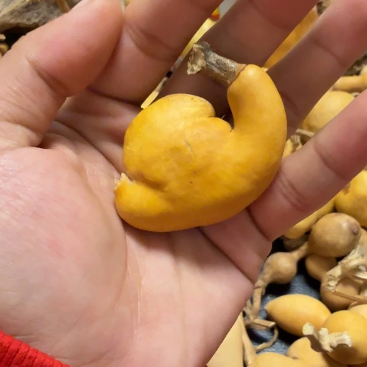 小***牛微瑕888888888888888