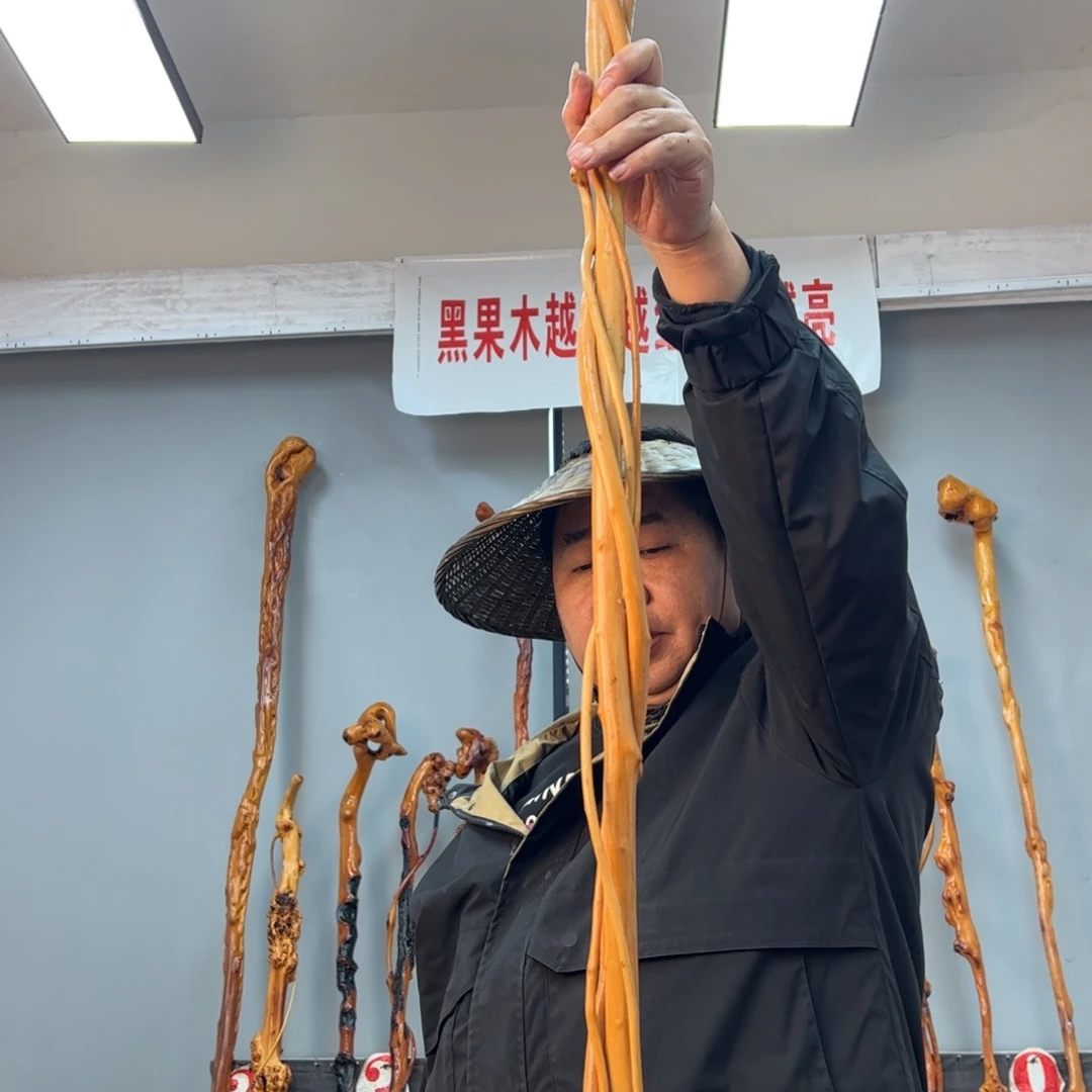 黑果木其他结*黑果木766