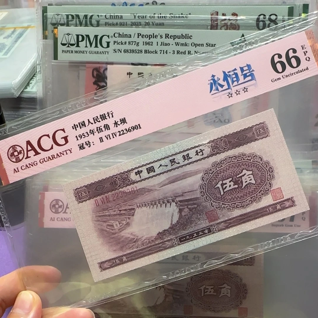 纸2236901。。。。。。。。。