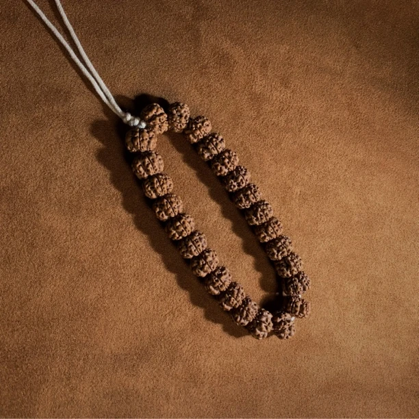 【红方印】大梅花小金刚【云霆甄选】小金刚