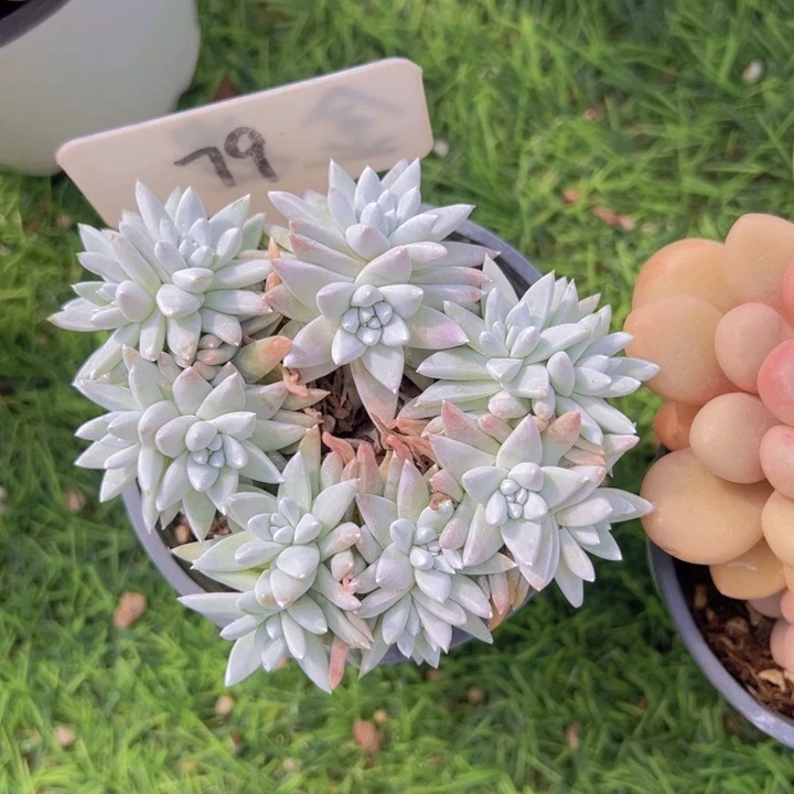 健健康康平平安安