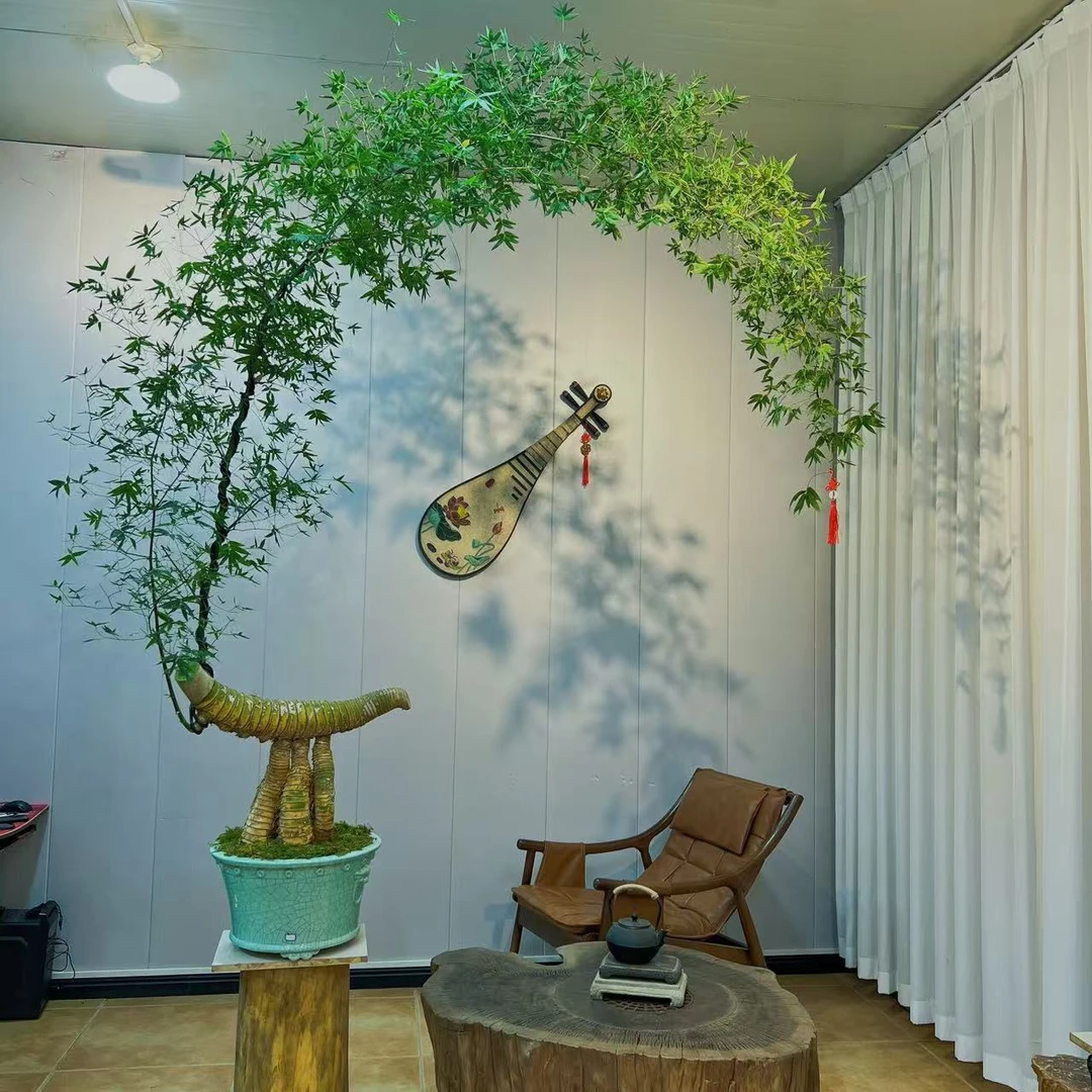 芝竹 老桩小叶簕竹盆景 室内客厅茶室书房办公室观赏禅意盆栽
