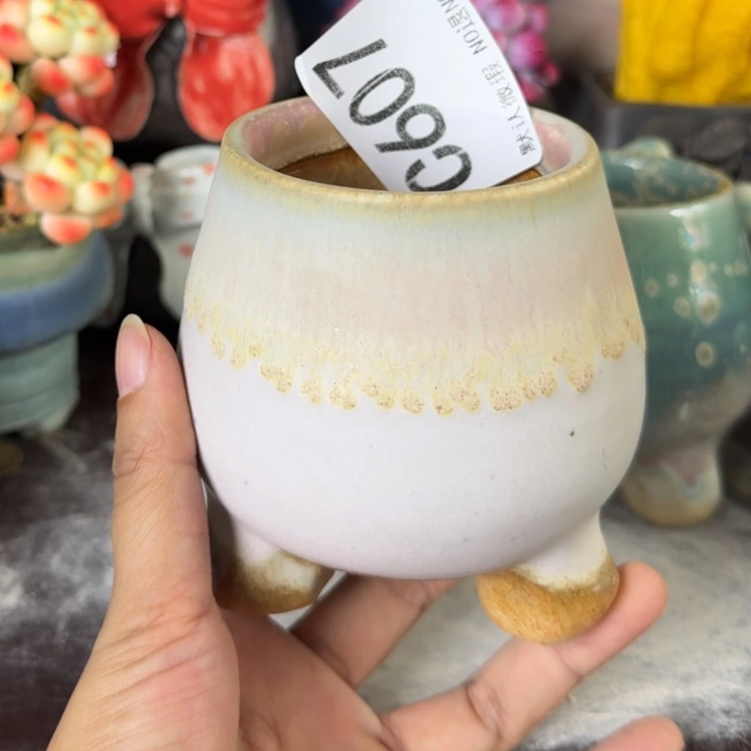 重庆小燕子欢迎那家607