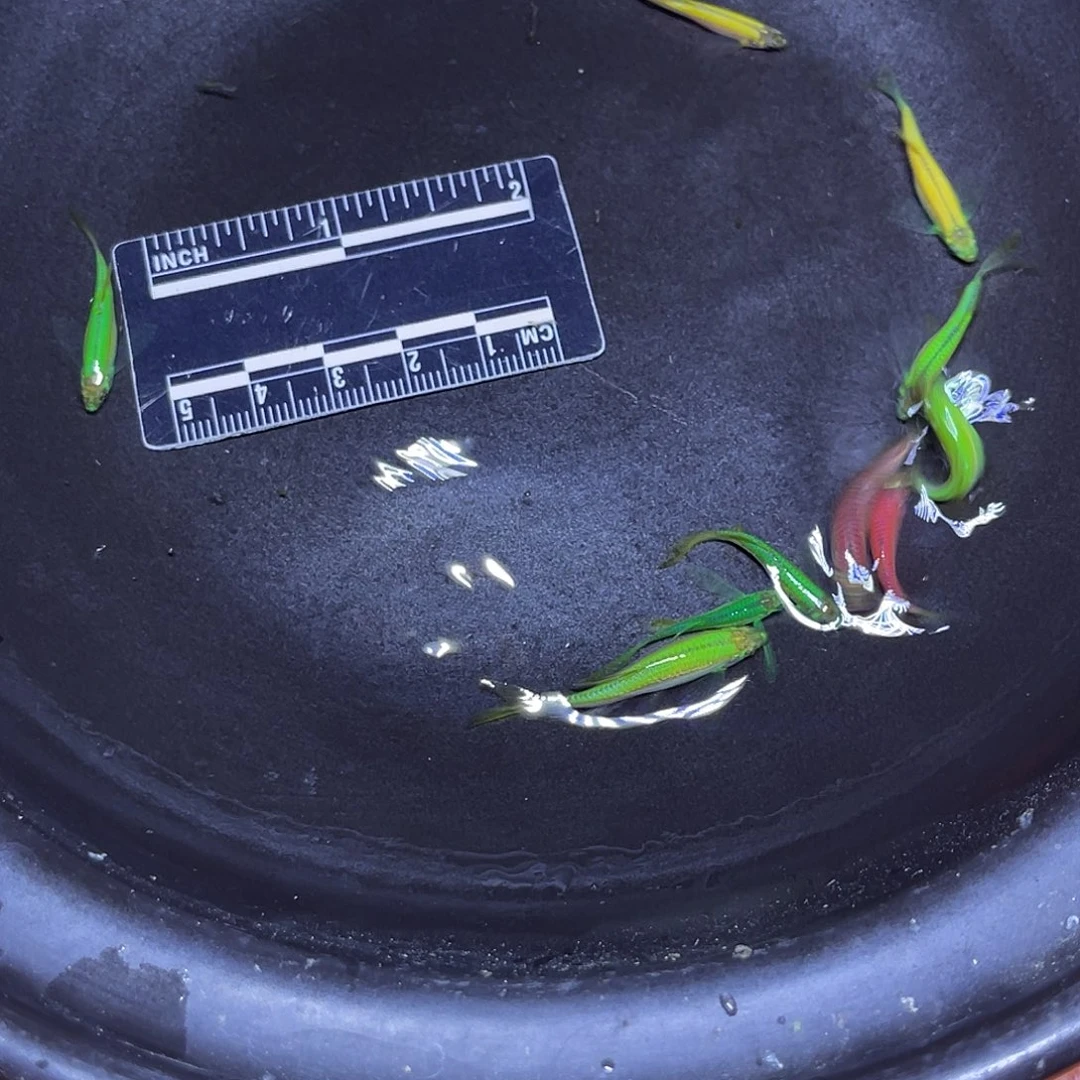 海水鱼5号哈哈哈哈哈哈