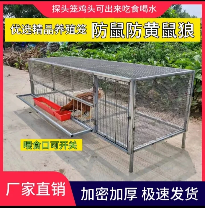 鸡笼鸭笼兔笼防黄鼠狼防老鼠防蛇加密加厚网养殖笼