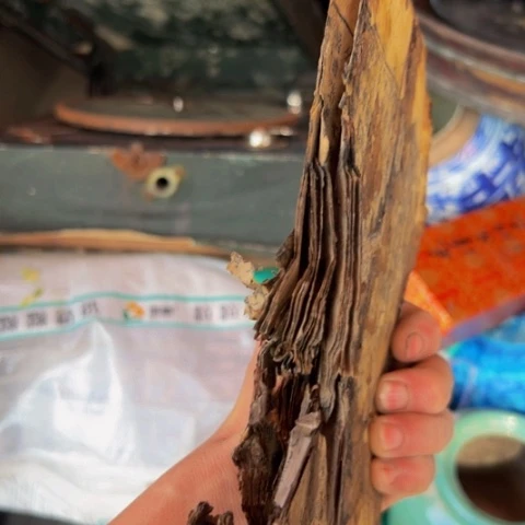 杂色豆（科檀/科特迪瓦檀木）@***改