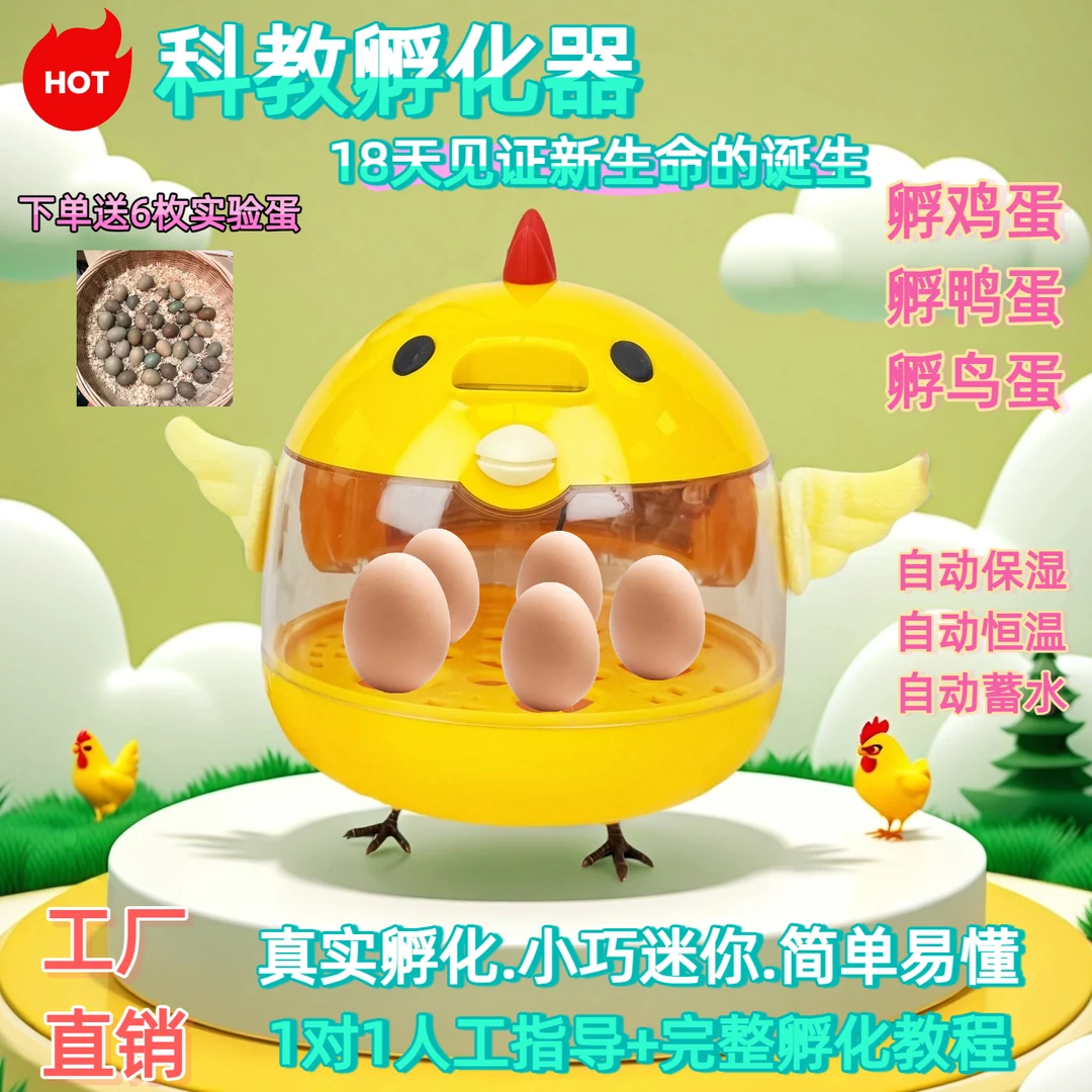 鹦鹉孵化器小鸡小鸭小巧迷你家用便携智能自动恒温保湿孵蛋器专用