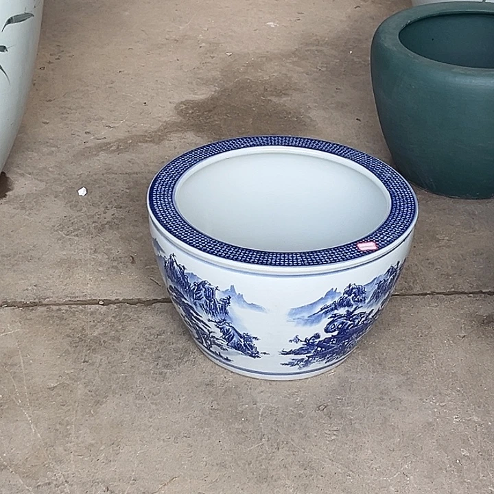 瓷片直播间现场下单