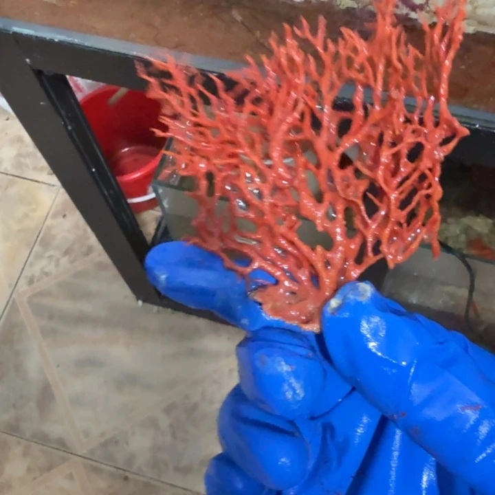 浑****奶嘴海葵海树hhhh