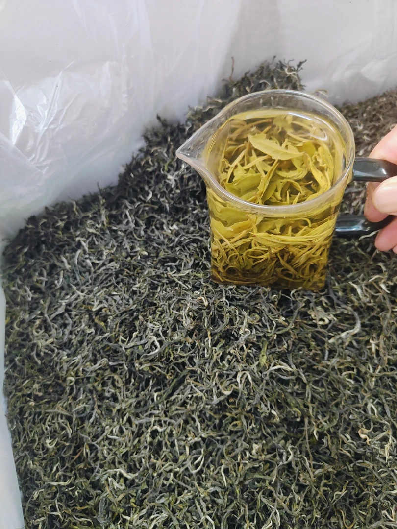 【张哥推荐】2025云南老派经典绿茶【滇绿】头春绿茶