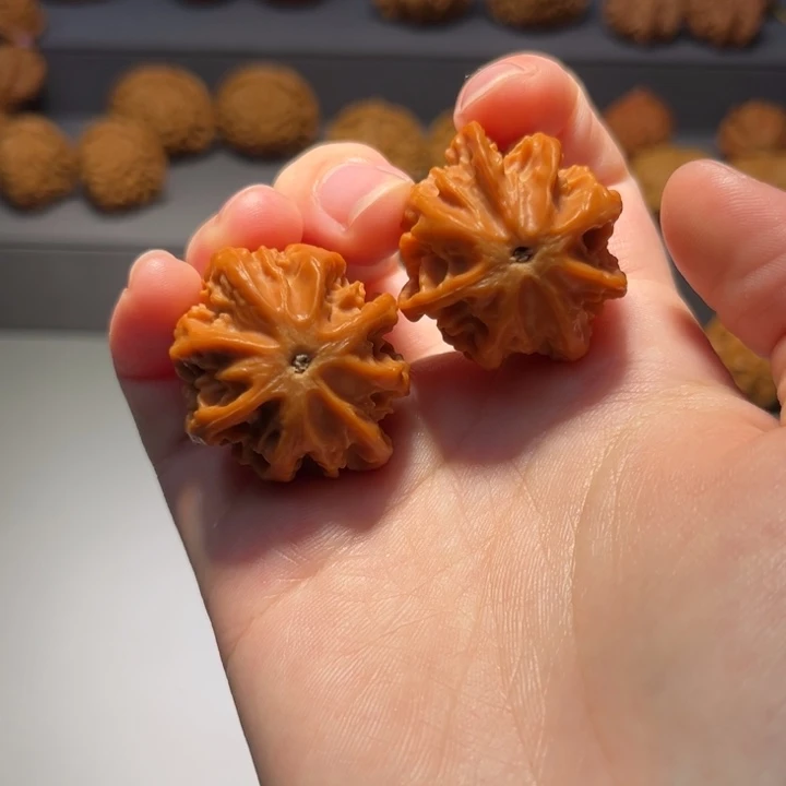 文玩核桃把件龙脊190