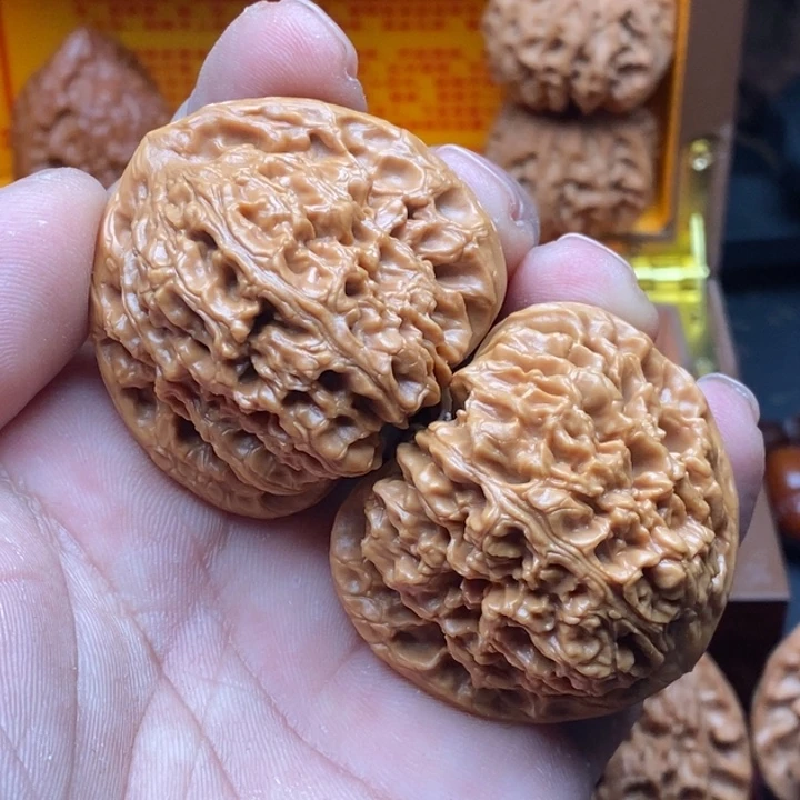 核桃41三角南疆石