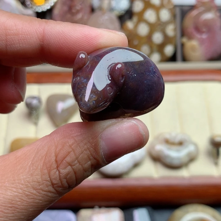 硅化珊瑚（珊瑚玉）颈饰未镶嵌