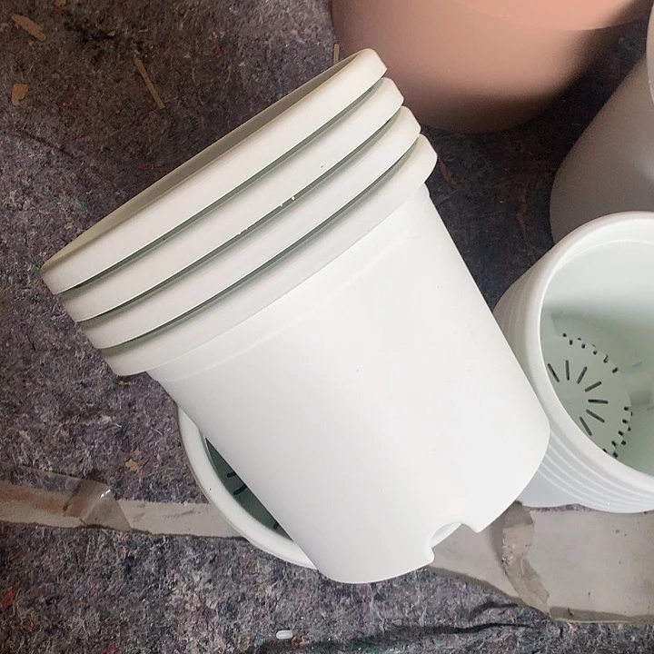 32口奶白无托4个瑕疵