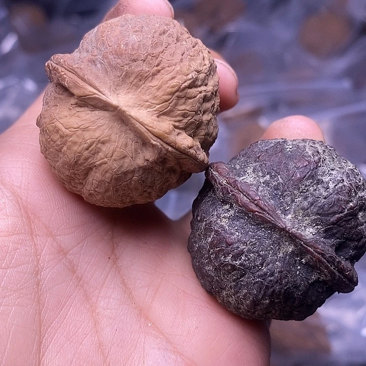 把件文玩核桃   186