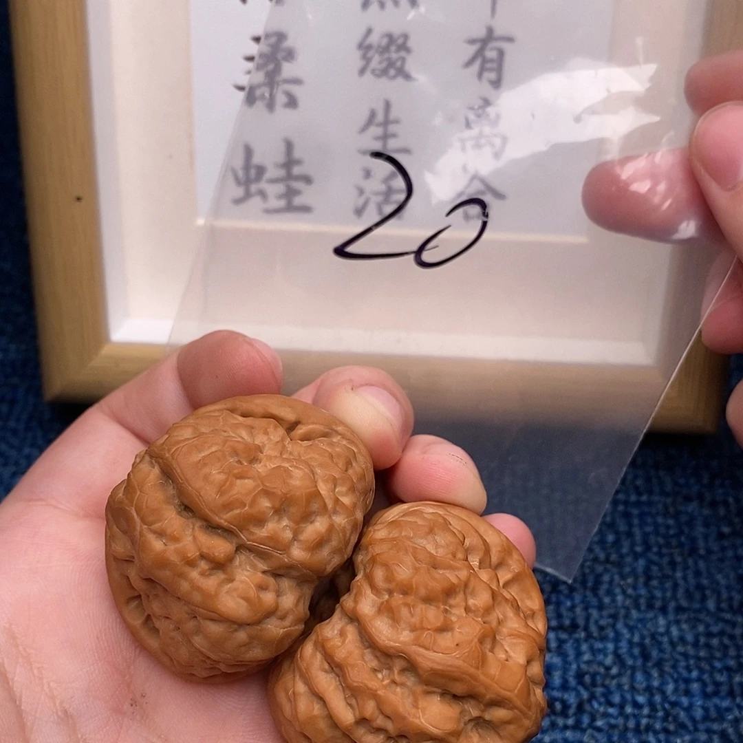 文玩核桃把件蛤蟆头44尺