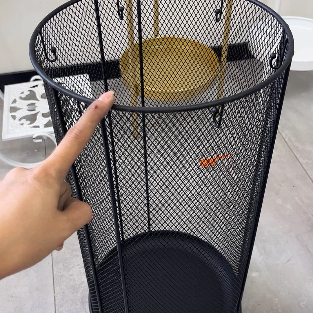 炸炸炸炸炸炸炸炸炸给力