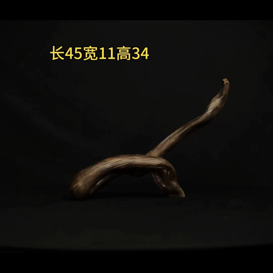 张大狼造景沉木长45cm飘枝 南美鱼缸造景 黑黄檀木秒沉